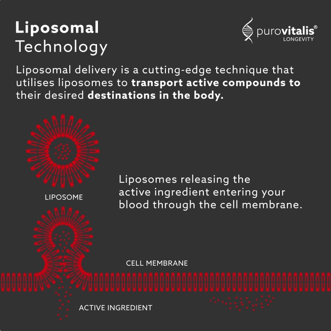 Liposomal Resveratrol (60 Capsules) - Image 4