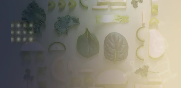 Various leaves and fruit slices arranged on a table, under a smoky filter.