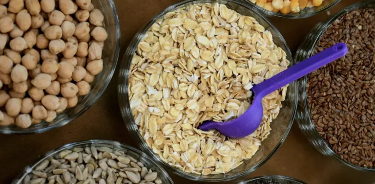 A bowl of oats with a purple spoon in it.